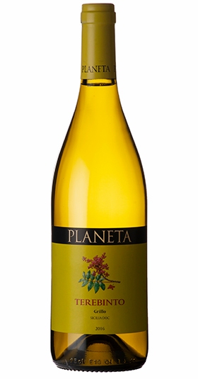 Terebinto Grillo, Planeta, Sicily