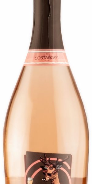 Raboso Sparkling Extra Dry Costaross, Vinicola Serena, Italy